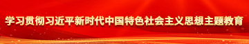 爸爸艹我的小烧逼学习贯彻习近平新时代中国特色社会主义思想主题教育