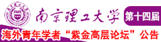 晚上襙逼南京理工大学第十四届海外青年学者紫金论坛诚邀海内外英才！